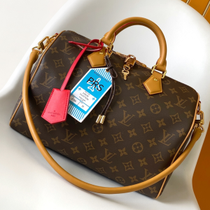 M11495 LV Speedy Soft 30 Boho bag