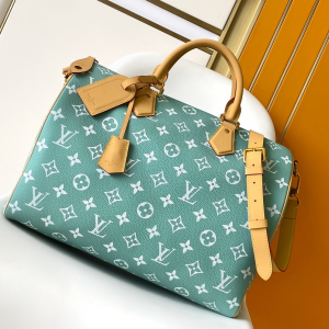 M11564 LV Speedy P9 Bandoulière 40 handbag