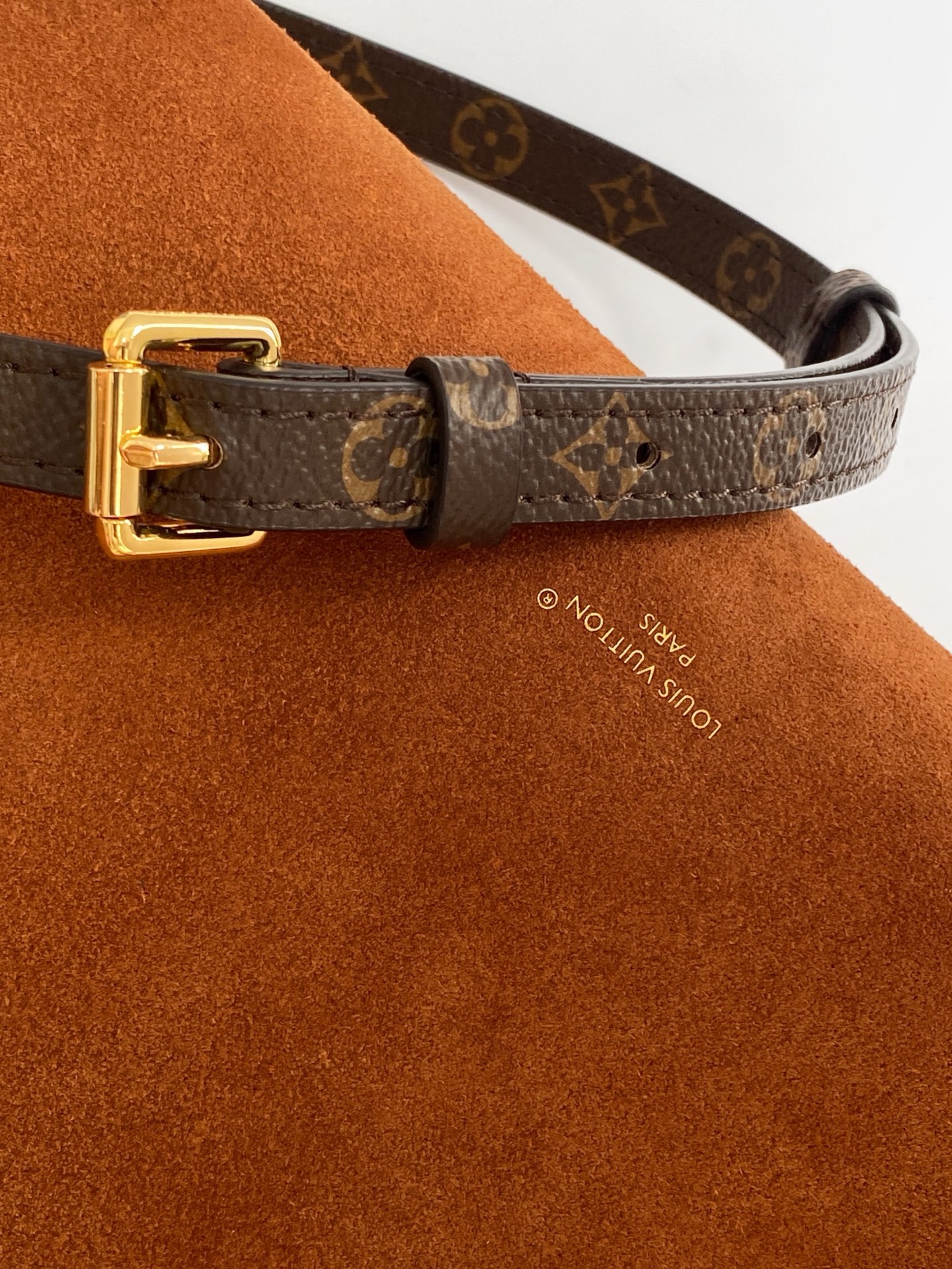 M15072 LV Side Trunk medium handbag - 图片 7