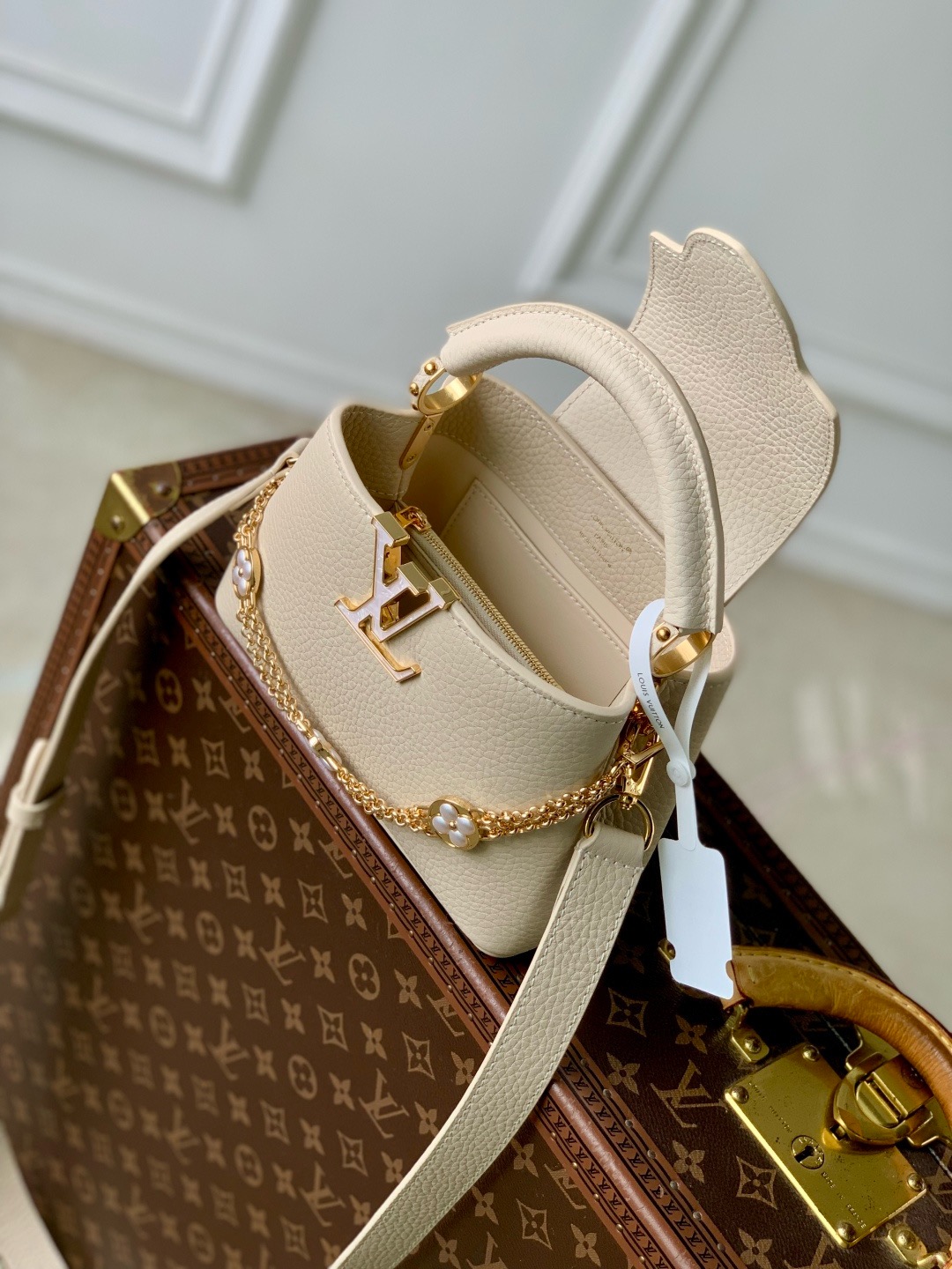 M25461 LV CAPUCINES BB handbag - 图片 8
