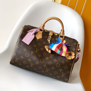M26498 LV Speedy Soft 30 Boho bag