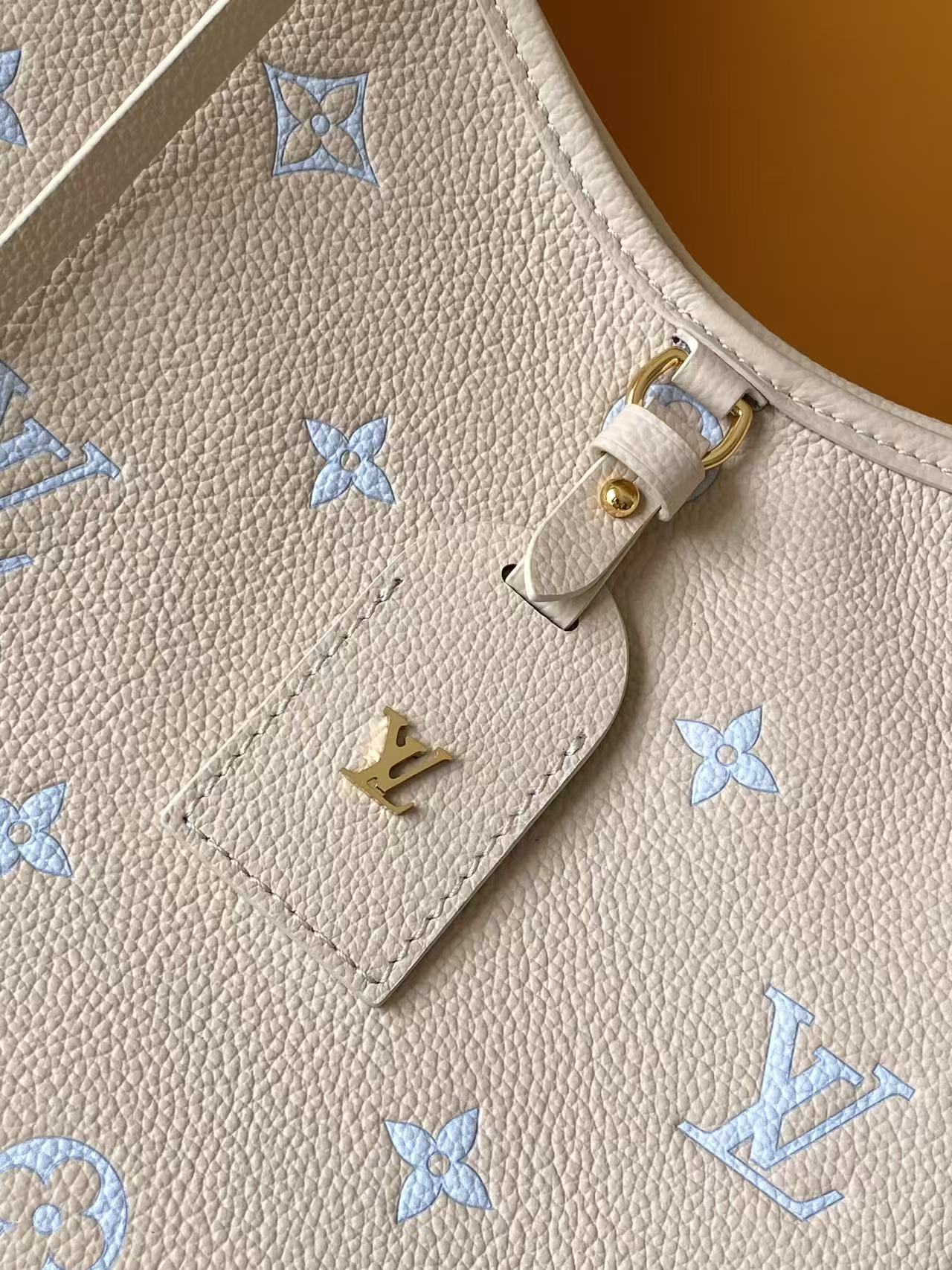 M27573 LV Carry All small bag - 图片 6