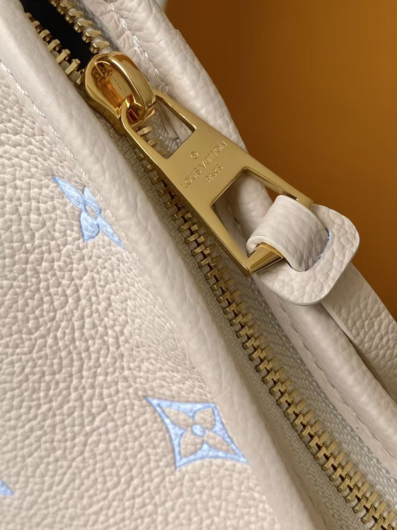 M27573 LV Carry All small bag - 图片 8