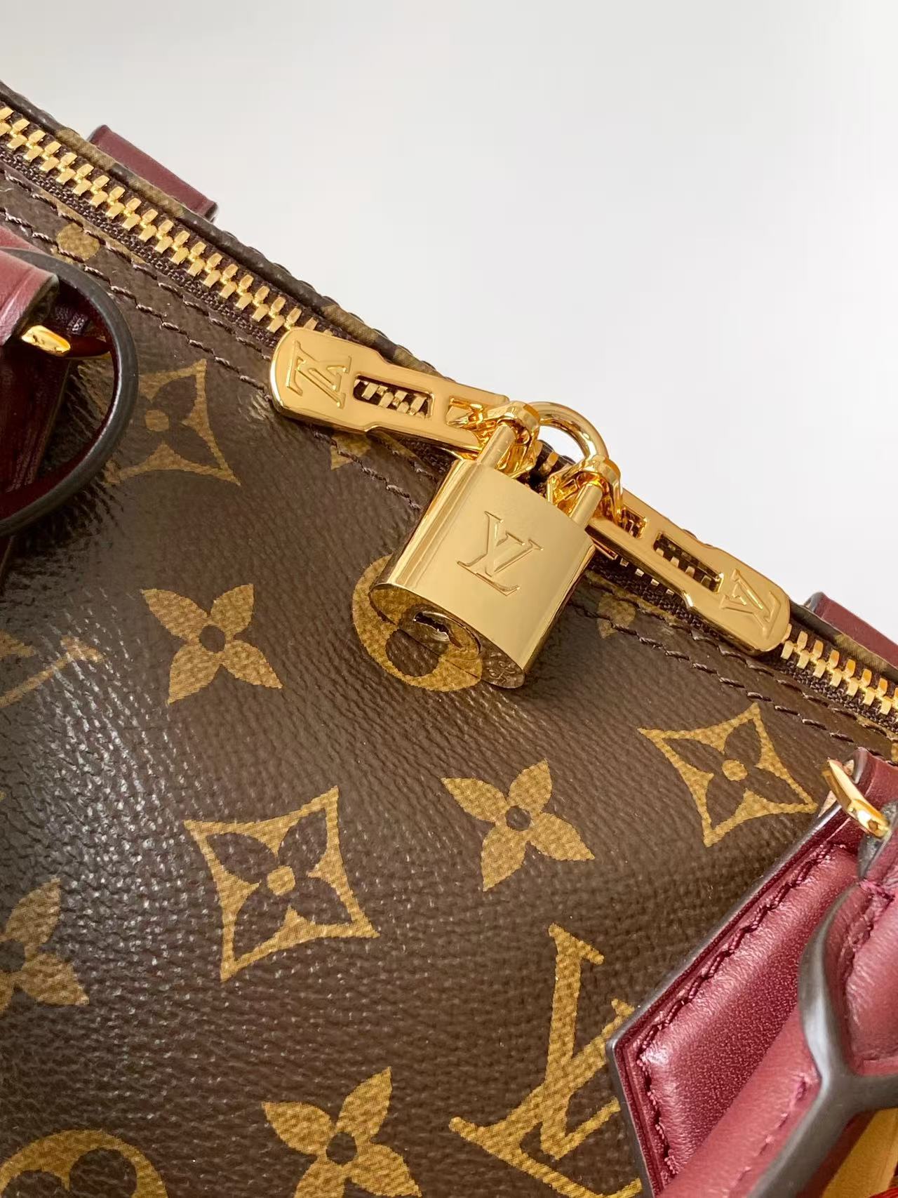 M28379 LV SPEEDY 30 SOFT CELEBRATION handbag - 图片 7