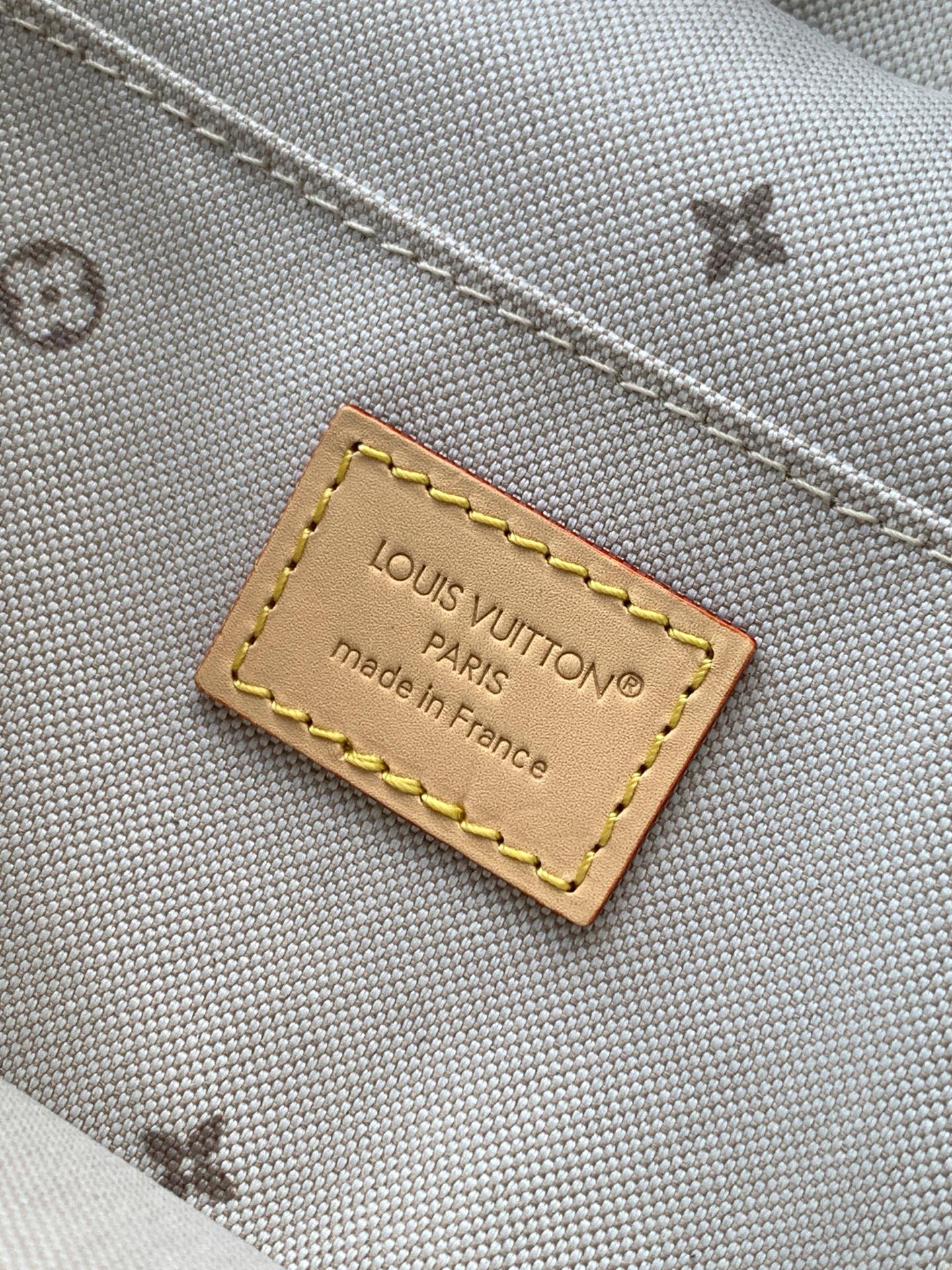 M29667 LV Nice mini makeup bag - 图片 10