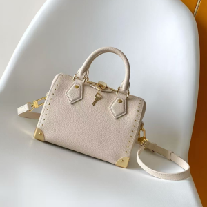 M29876 LV Speedy Trunk bag