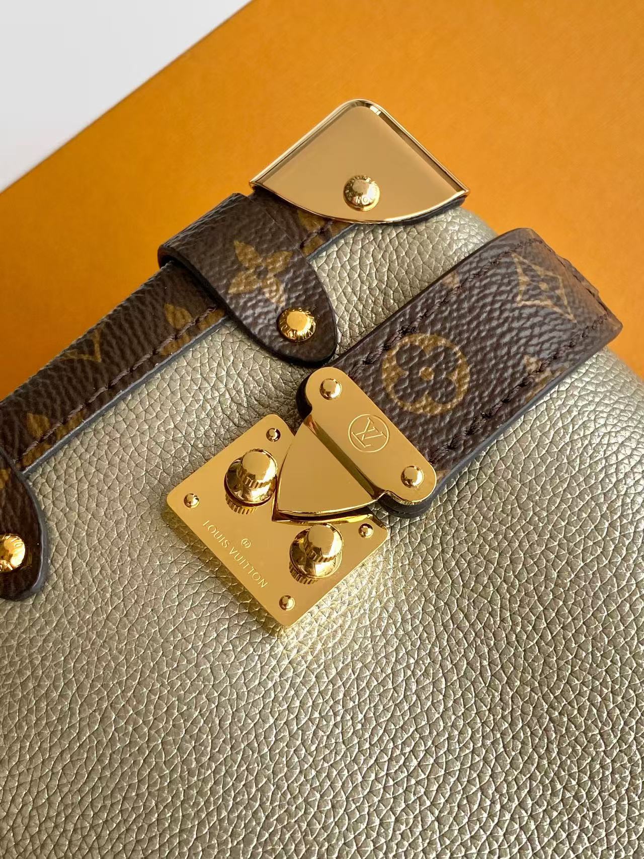 M2A265 LV Side Trunk small handbag - 图片 6