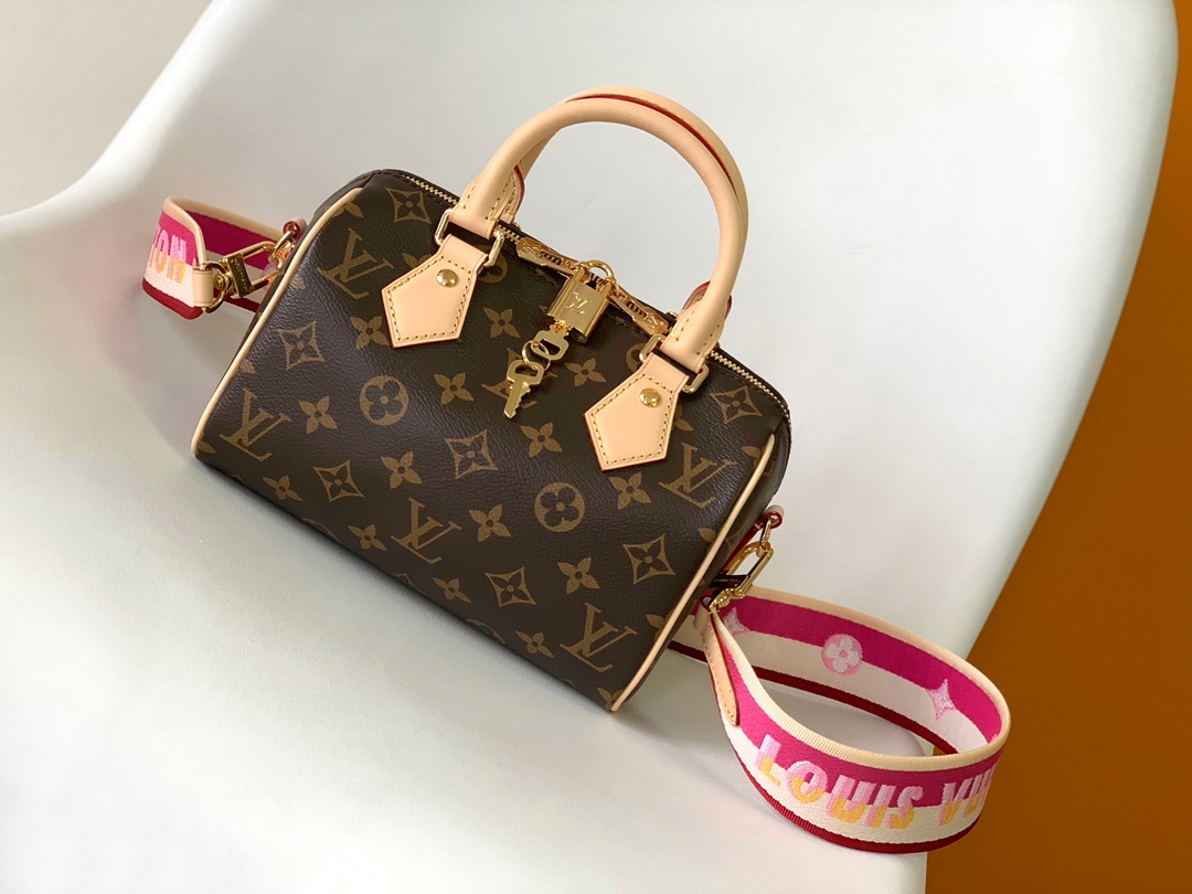 M45948 LV Speedy Bandoulière 20 handbag - 图片 2
