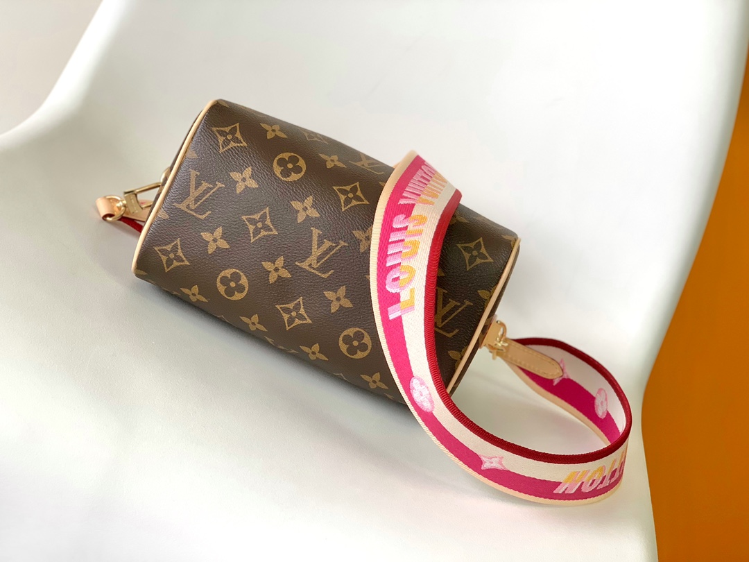 M45948 LV Speedy Bandoulière 20 handbag - 图片 5