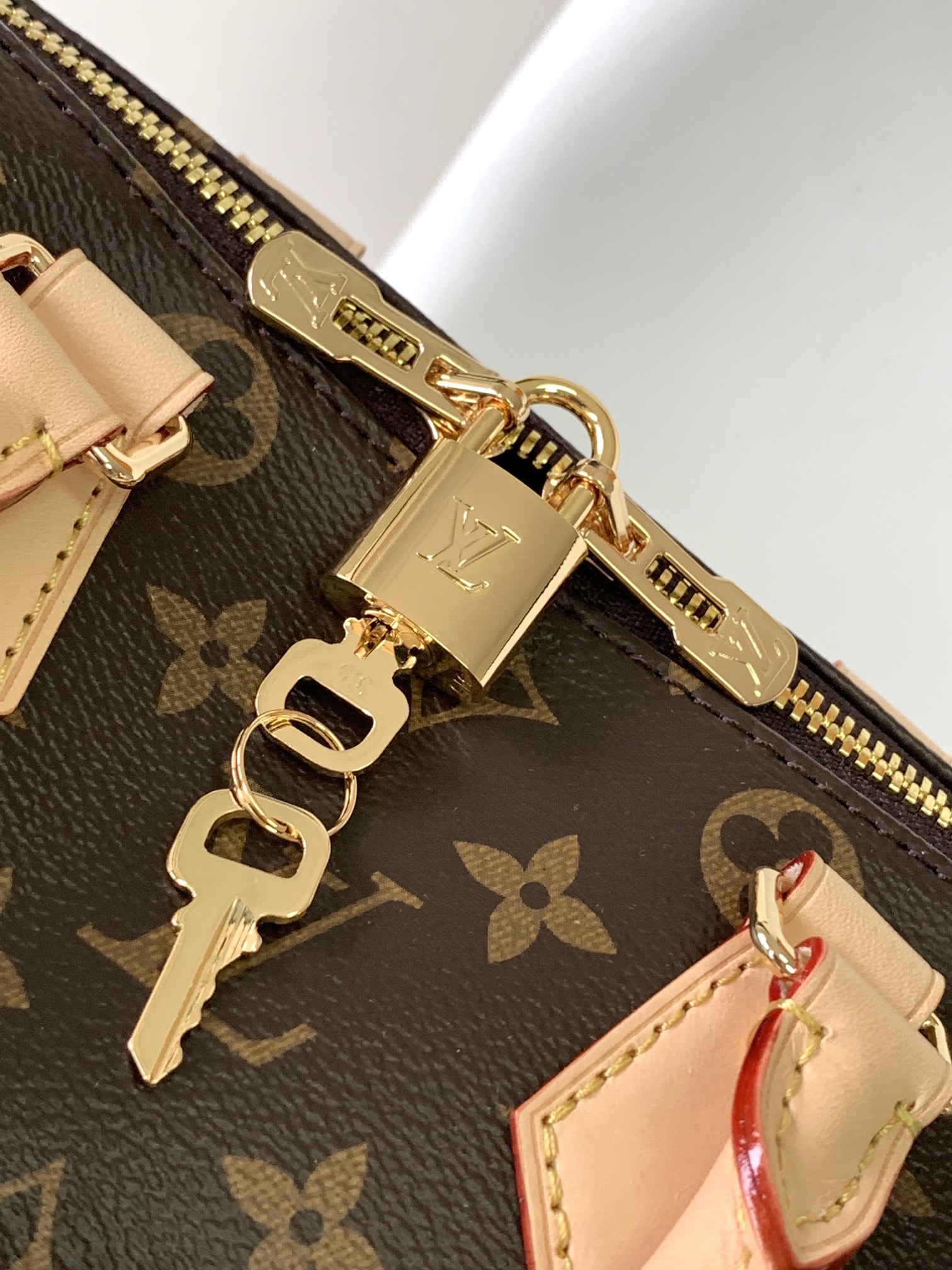 M45948 LV Speedy Bandoulière 20 handbag - 图片 7
