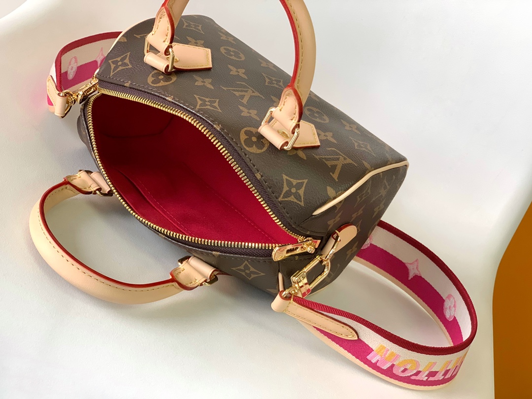 M45948 LV Speedy Bandoulière 20 handbag - 图片 10