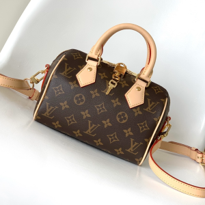 M46234 LV Speedy Bandoulière 20 handbag