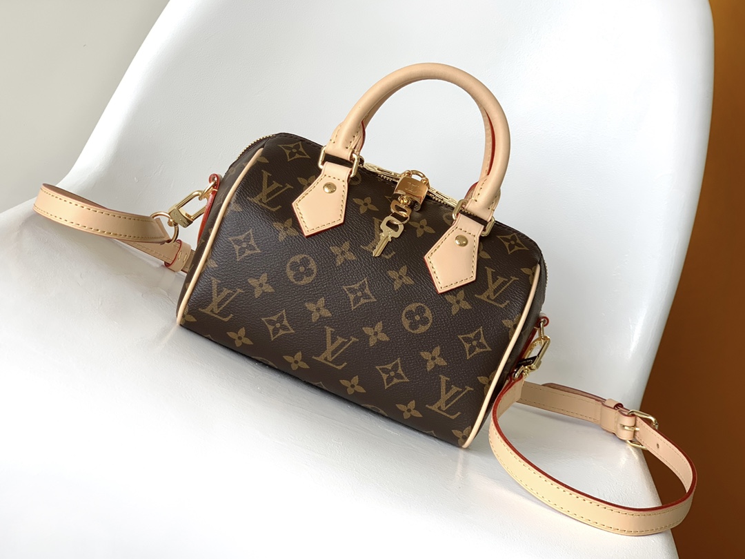 M46234 LV Speedy Bandoulière 20 handbag - 图片 2