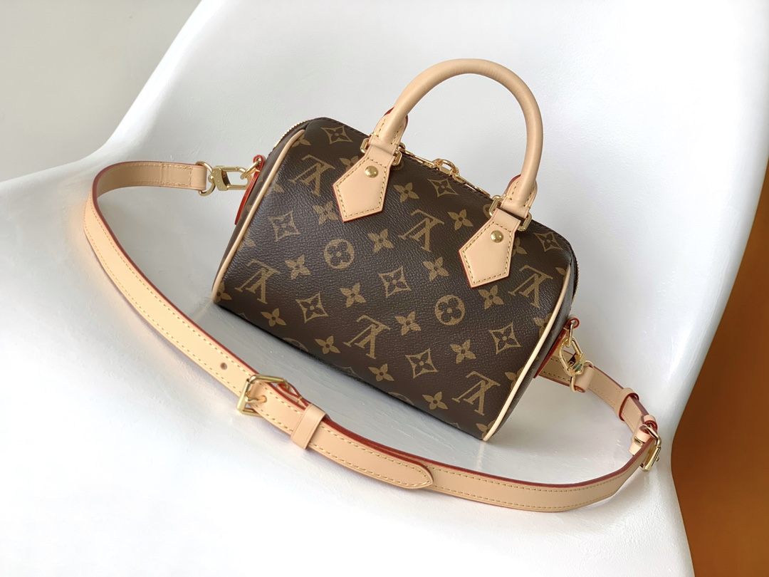 M46234 LV Speedy Bandoulière 20 handbag - 图片 4
