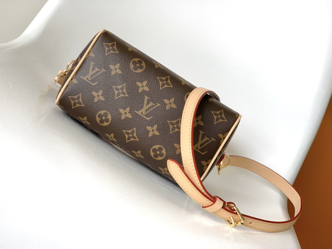 M46234 LV Speedy Bandoulière 20 handbag - 图片 5