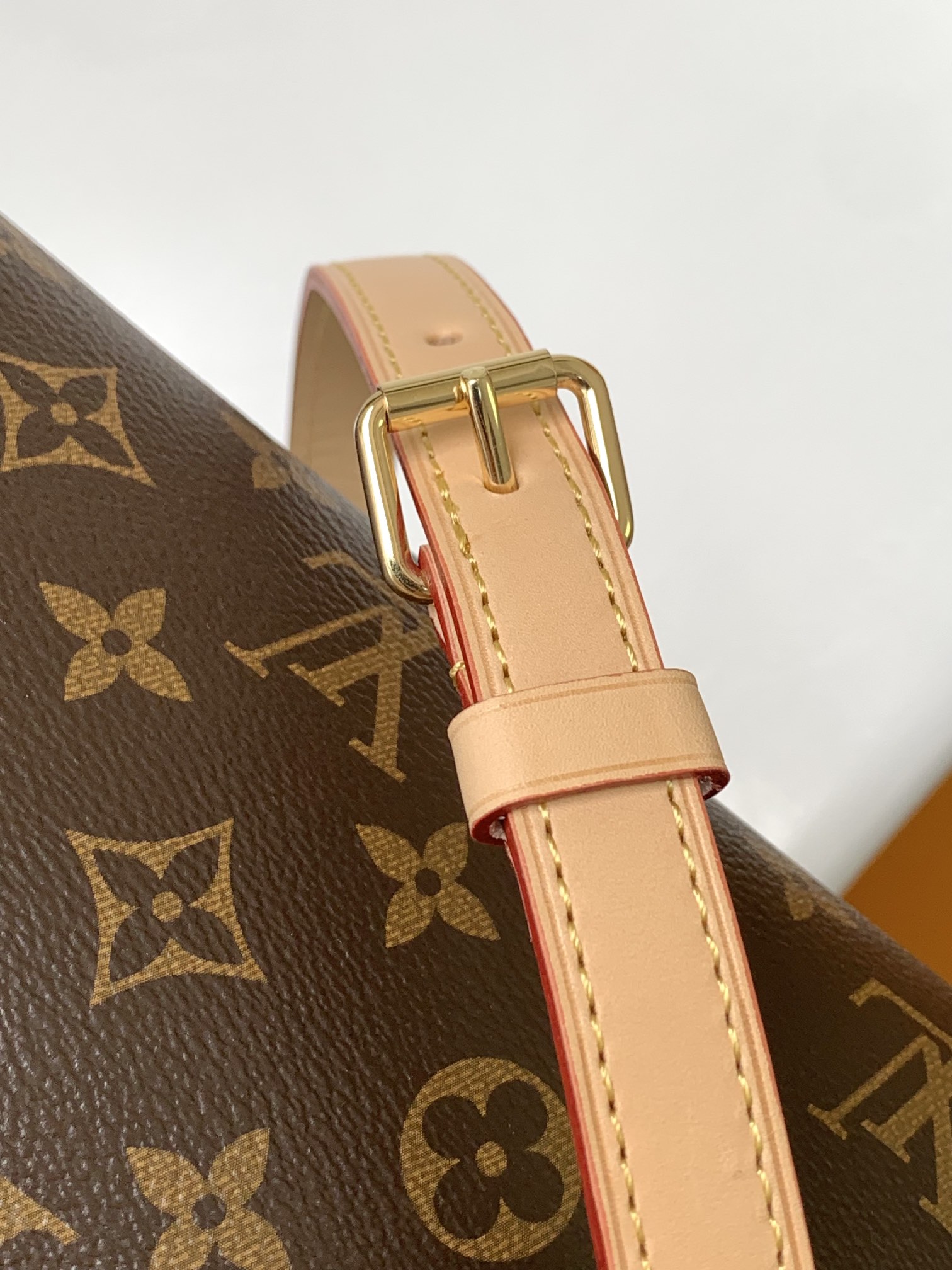 M46234 LV Speedy Bandoulière 20 handbag - 图片 8