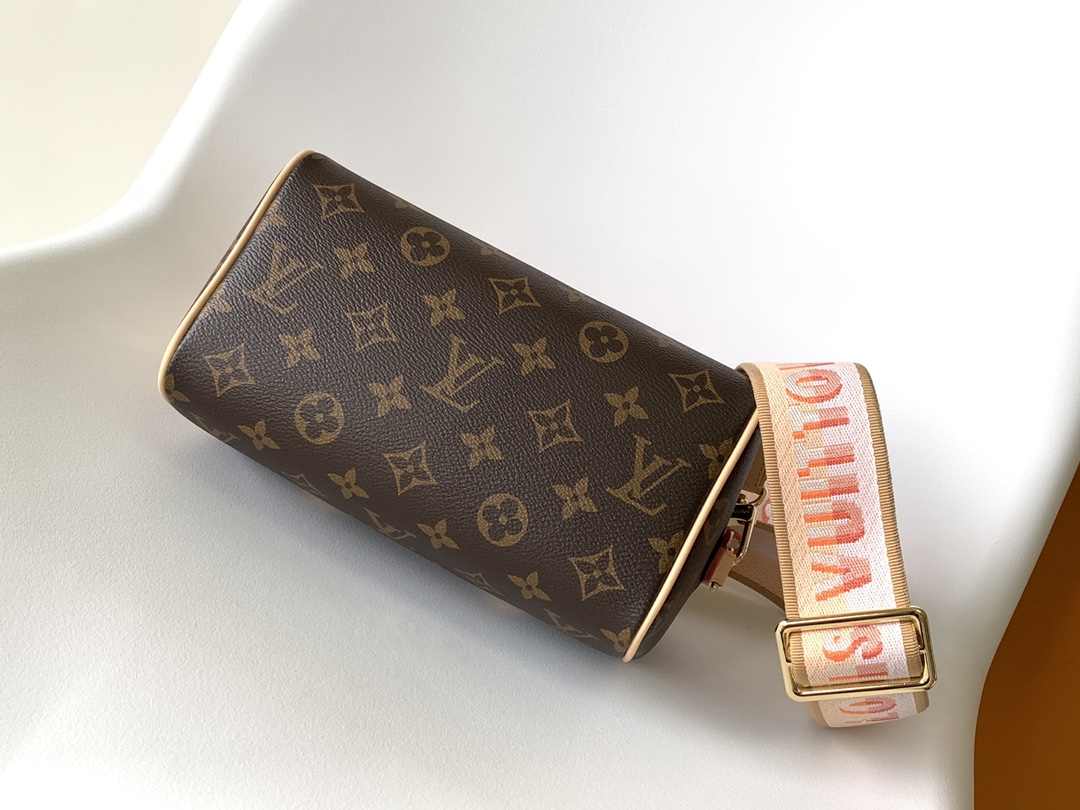 M46594 Lv Speedy Bandoulière 20 handbag - 图片 5