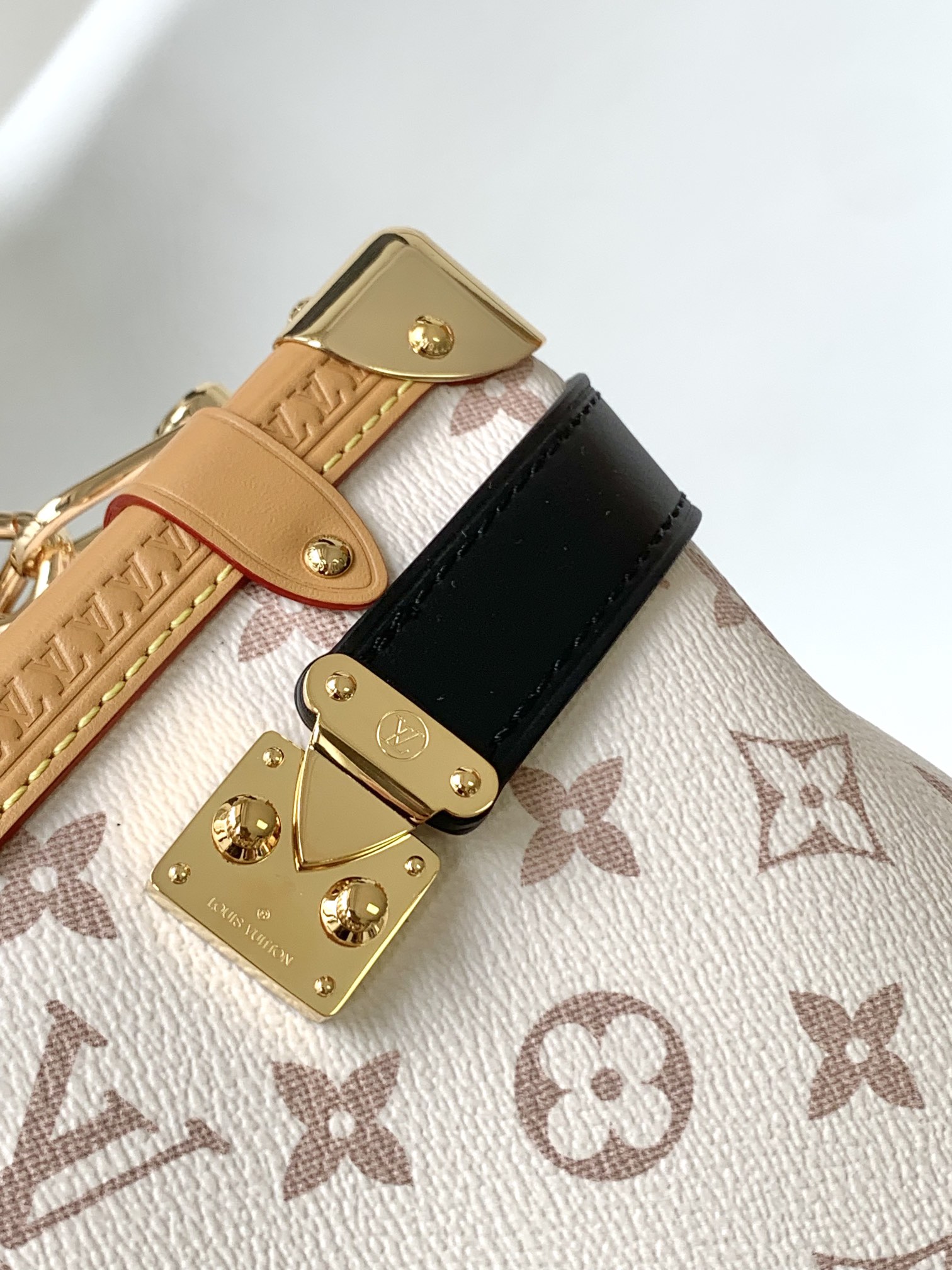 M46907 LV Side Trunk handbag - 图片 6
