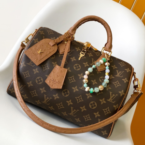 N87212 LV Speedy Soft 30 Boho bag