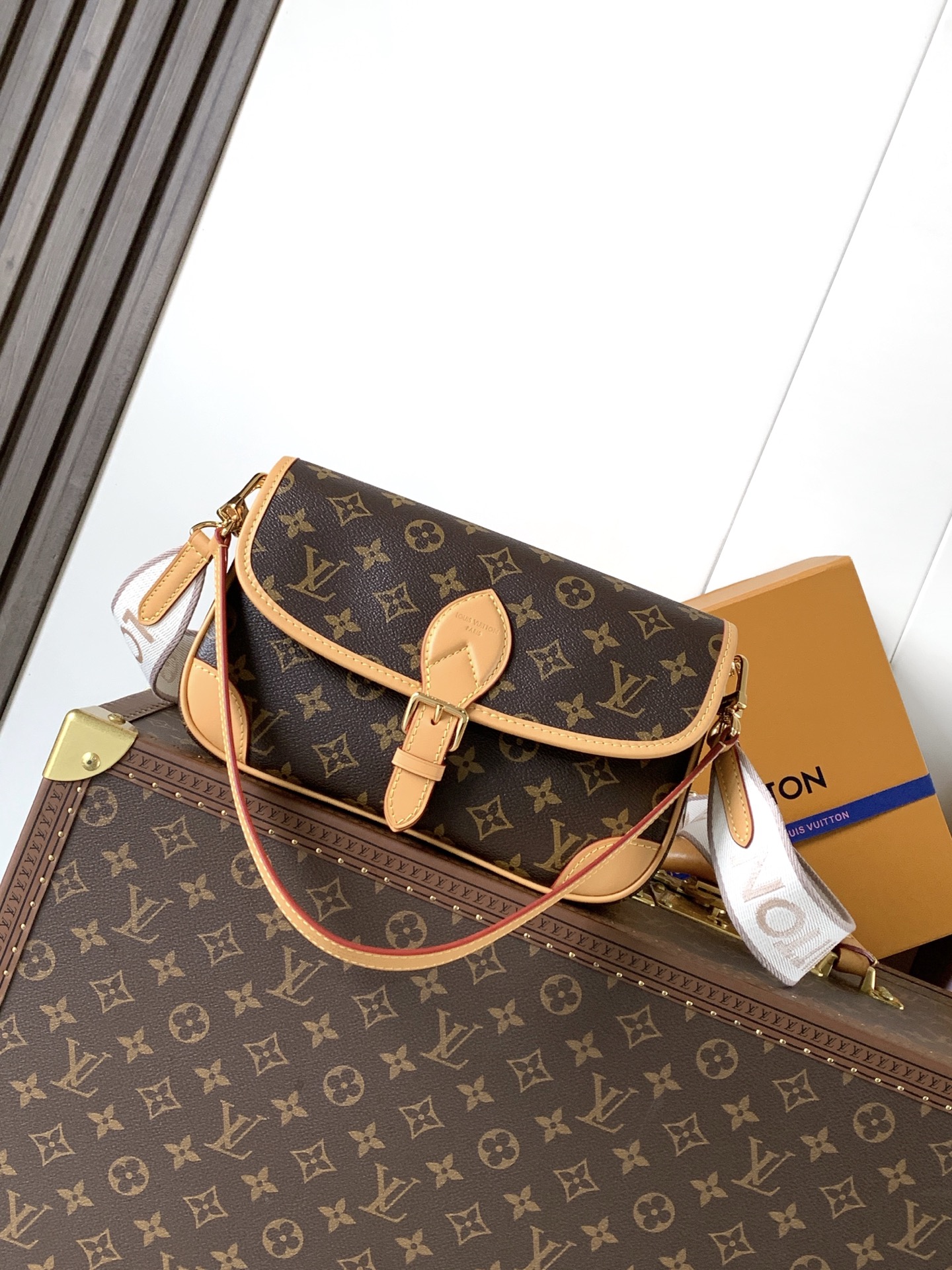 M13035 LV Diane Handbag - 图片 2