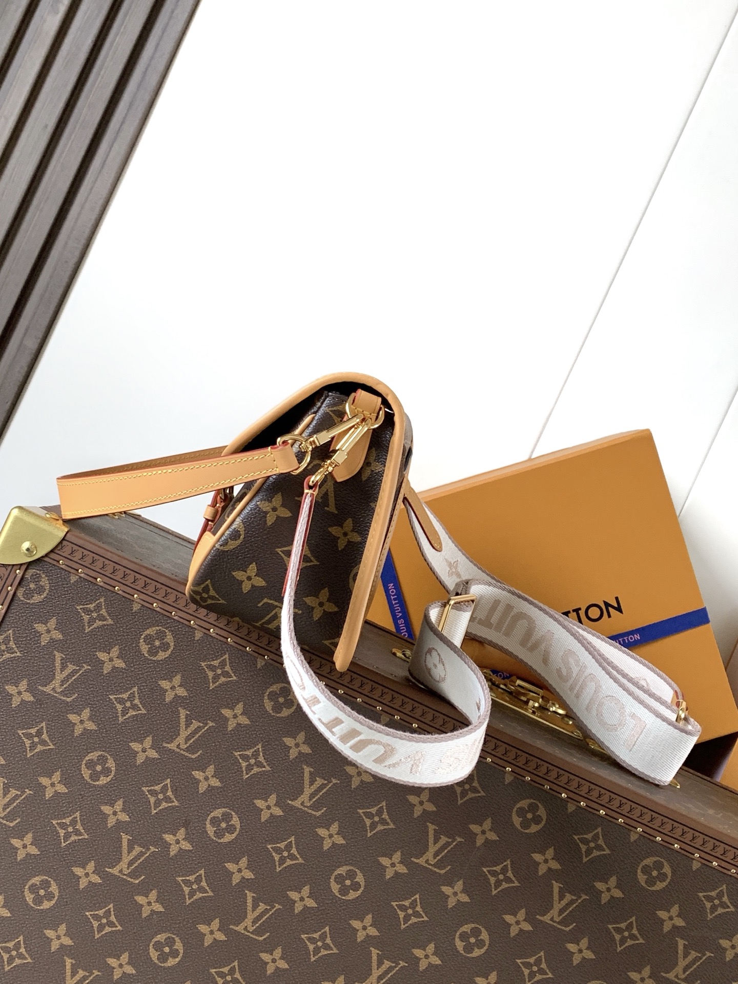 M13035 LV Diane Handbag - 图片 10
