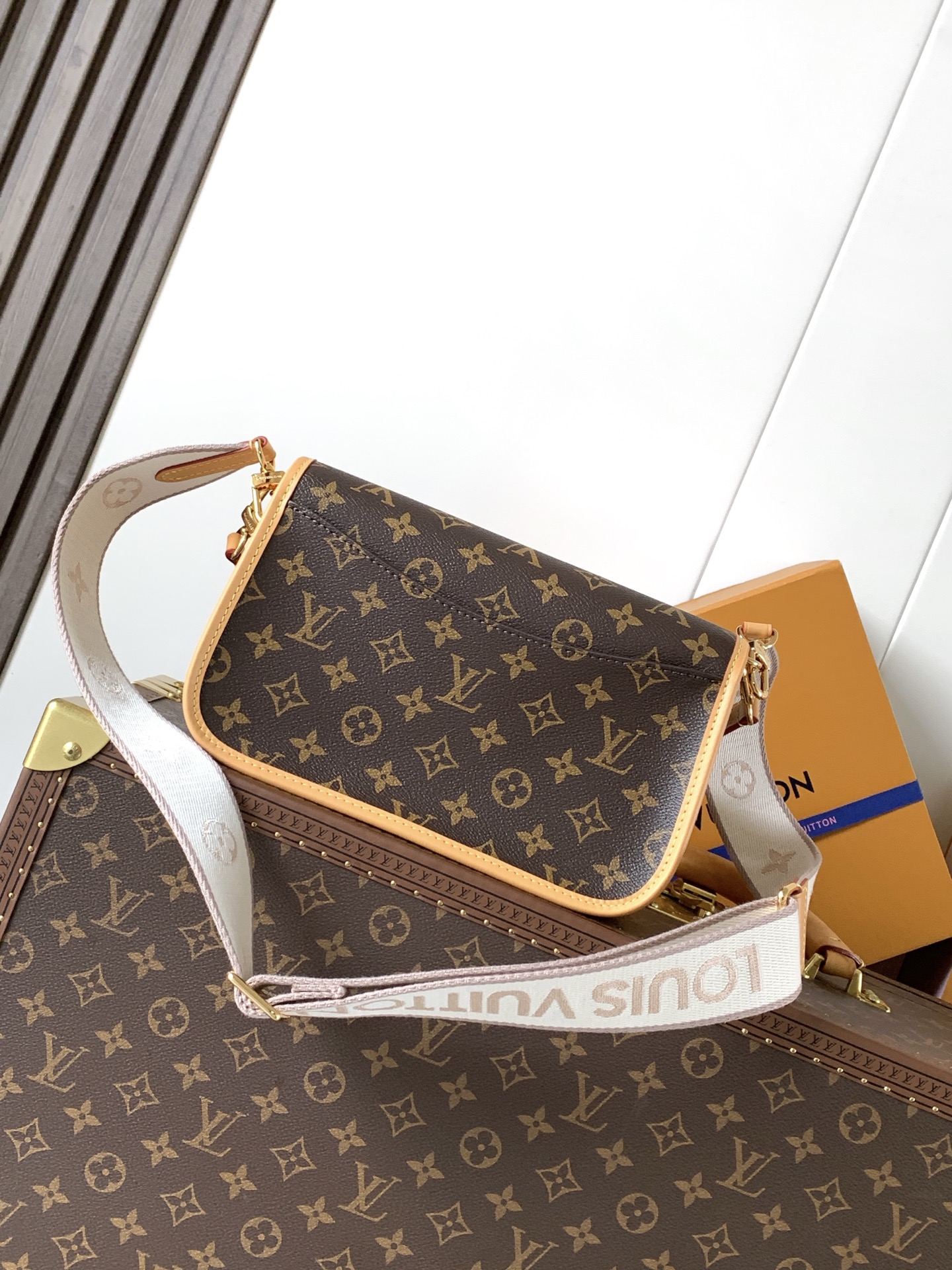 M13035 LV Diane Handbag - 图片 9