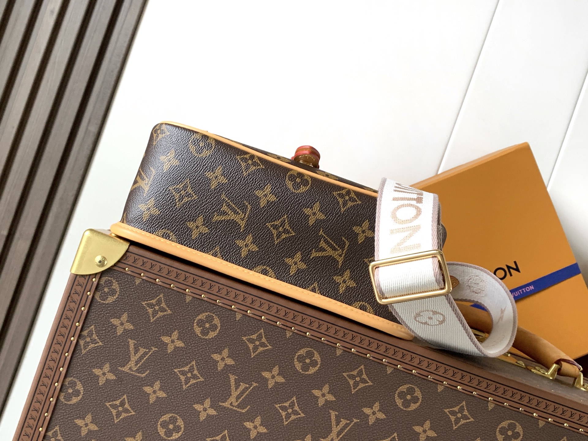 M13035 LV Diane Handbag - 图片 8