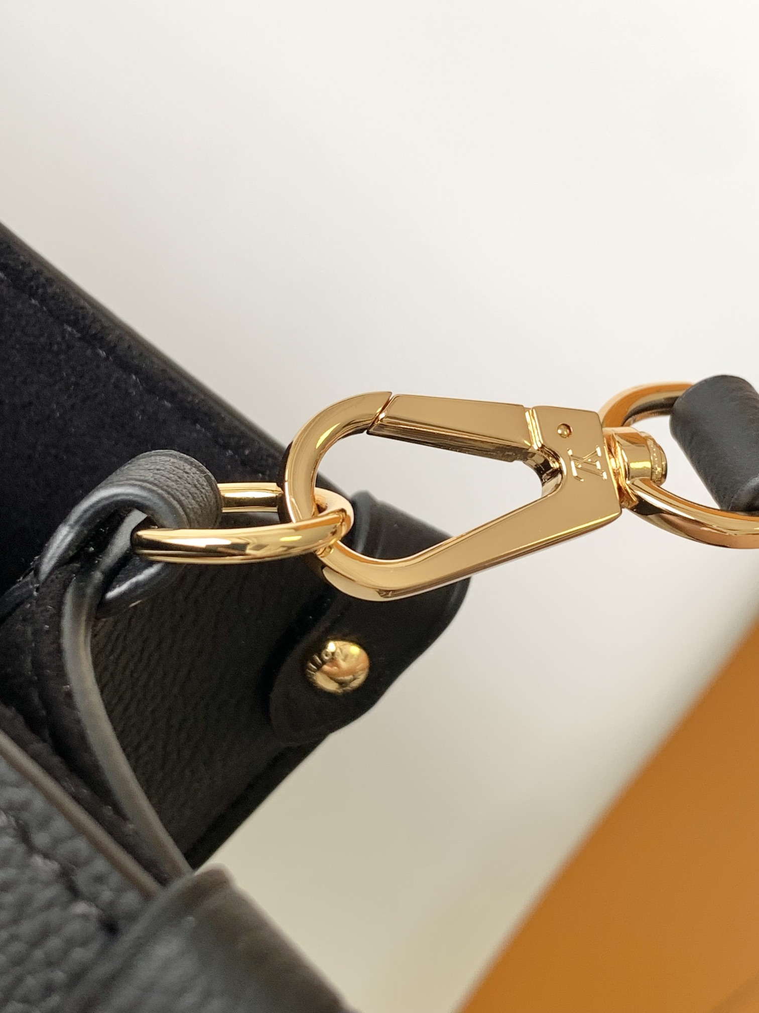 M22311 LV Lock and Walk Bucket Bag - 图片 10