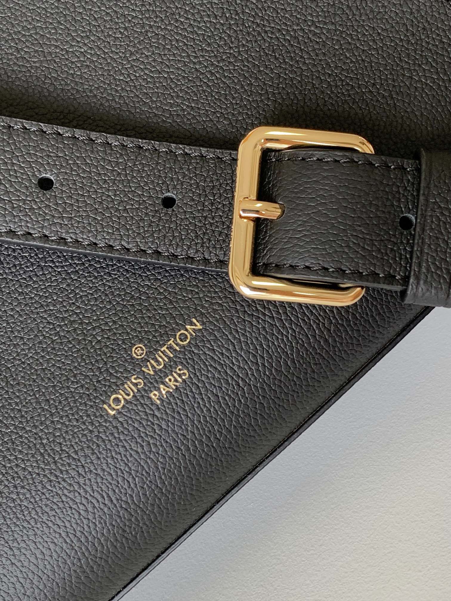 M22311 LV Lock and Walk Bucket Bag - 图片 4