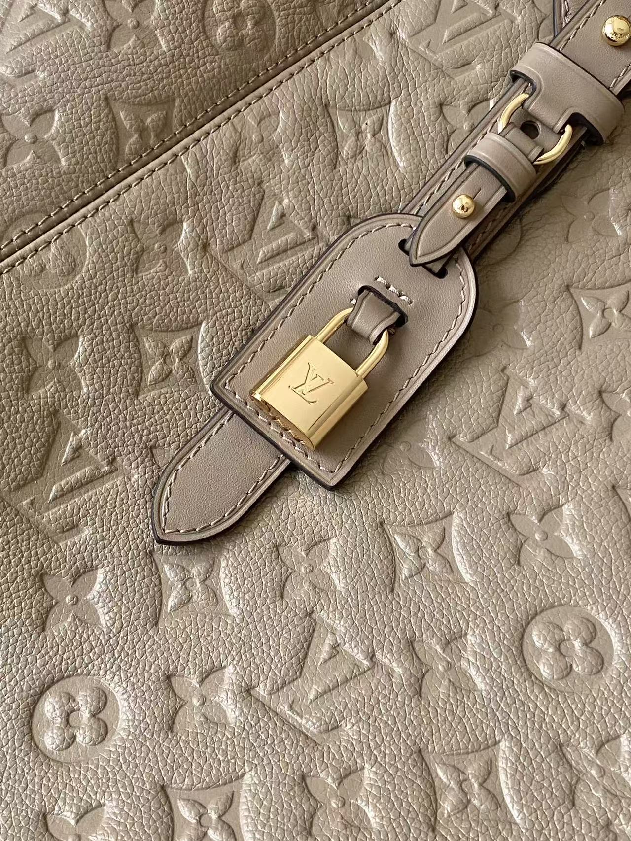 M25889 LV ALL IN ONE Medium Handbag - 图片 8