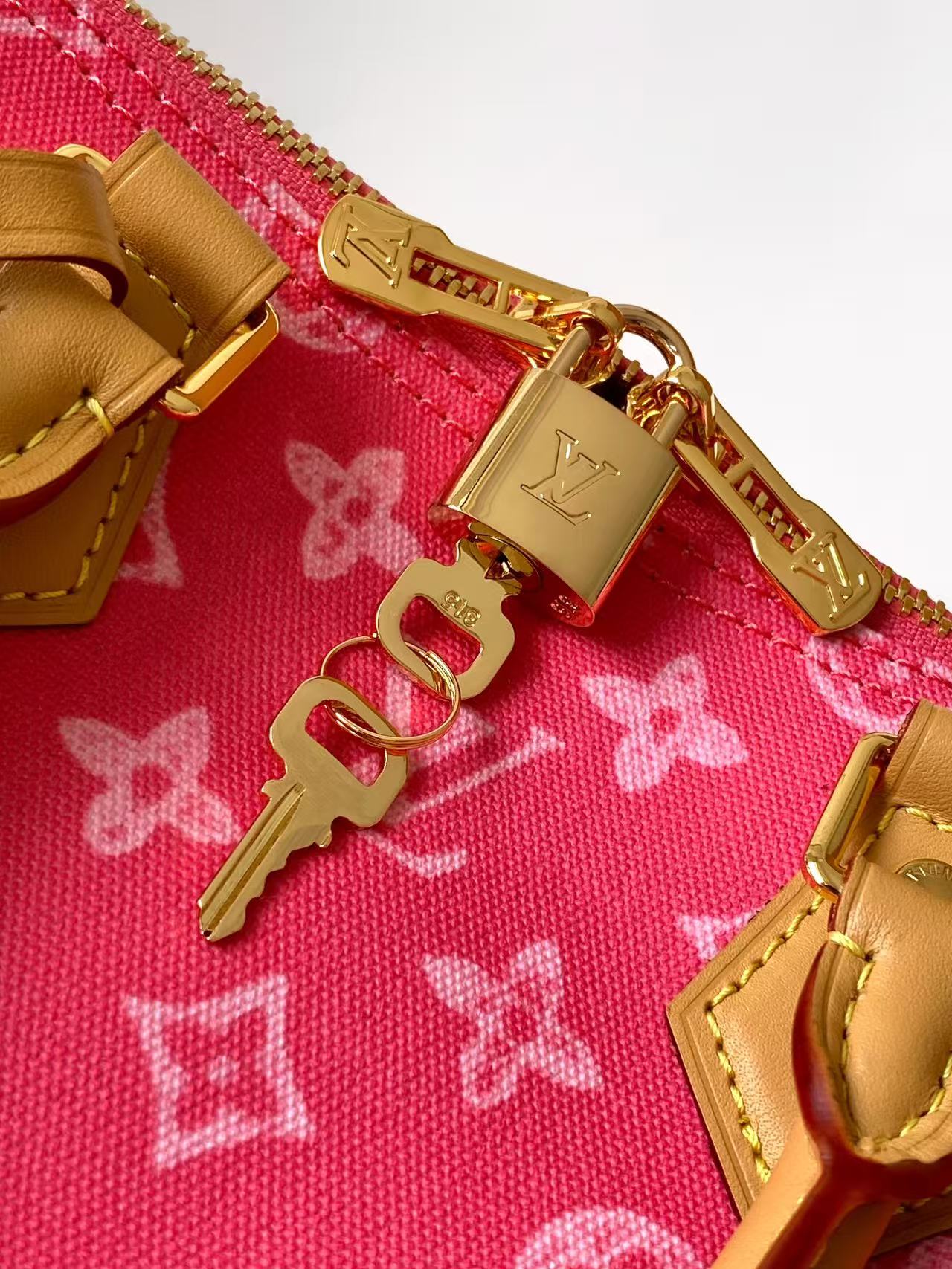 M27528 LV SPEEDY BANDOULIÈRE 25 - 图片 7