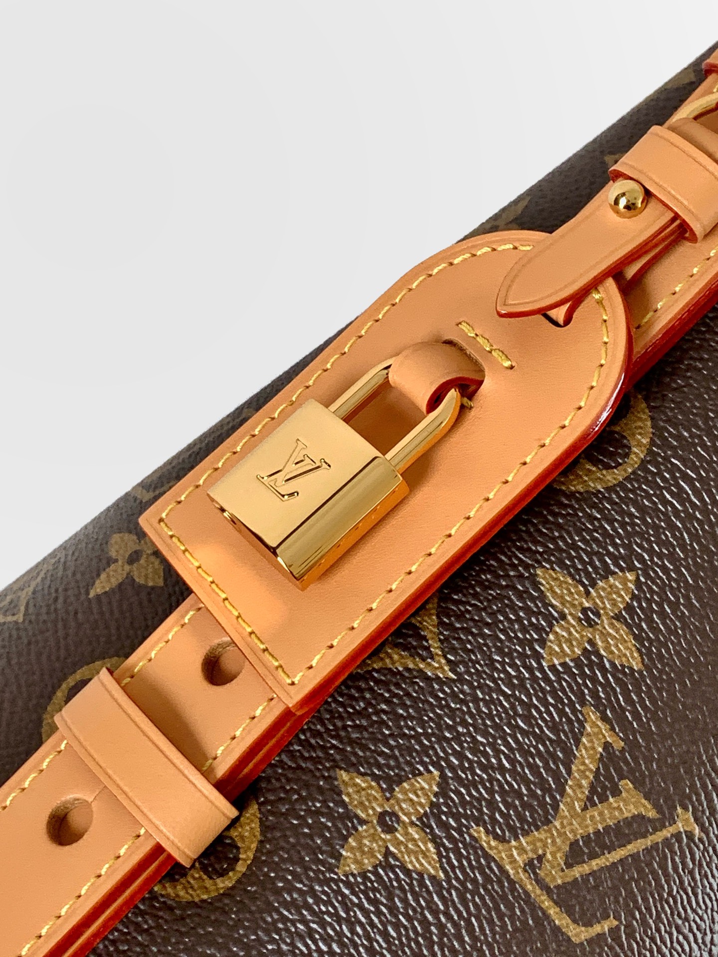 M29628 LV ALL IN Medium Handbag - 图片 9