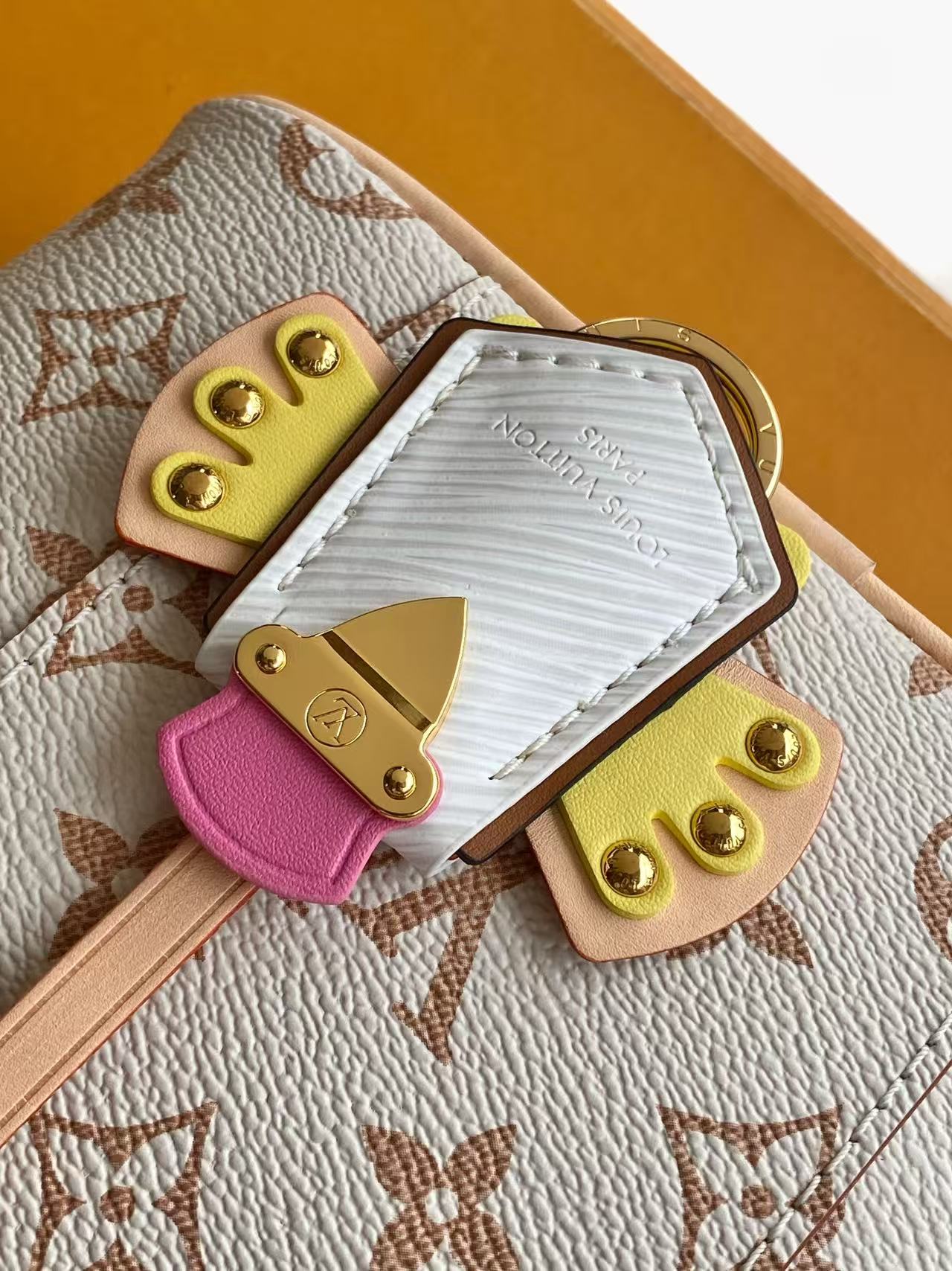 M29782 LV VANITY CHAIN POUCH - 图片 9