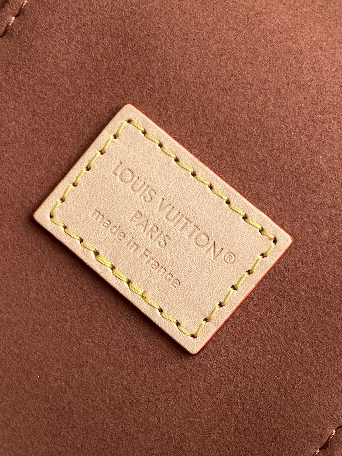 M29782 LV VANITY CHAIN POUCH - 图片 6