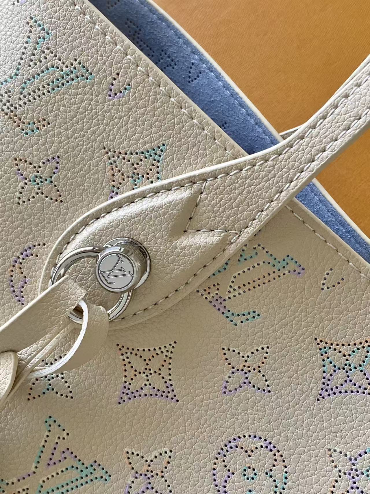 M29900 LV Blossom Small Handbag - 图片 7