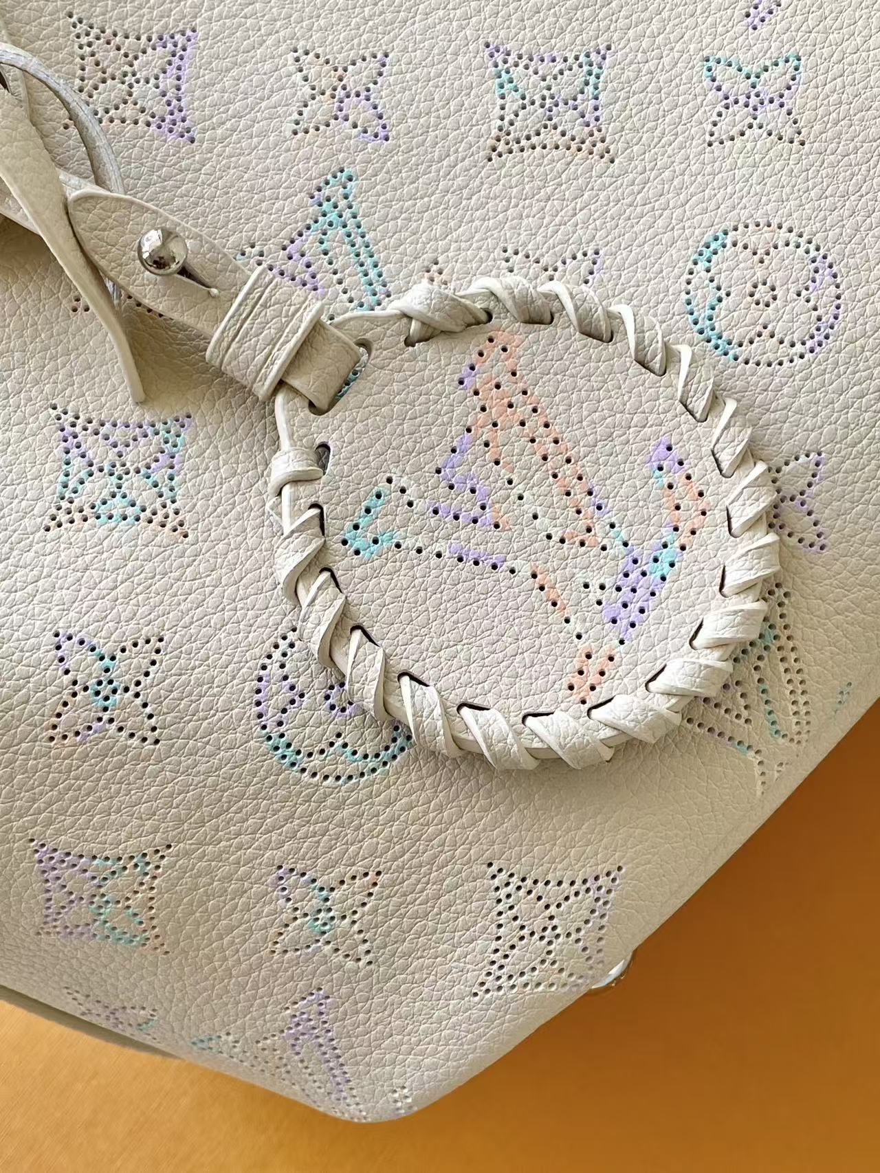 M29900 LV Blossom Small Handbag - 图片 4